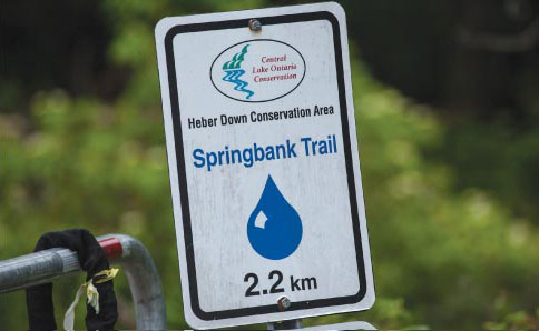 Trails & Conservation Areas Image